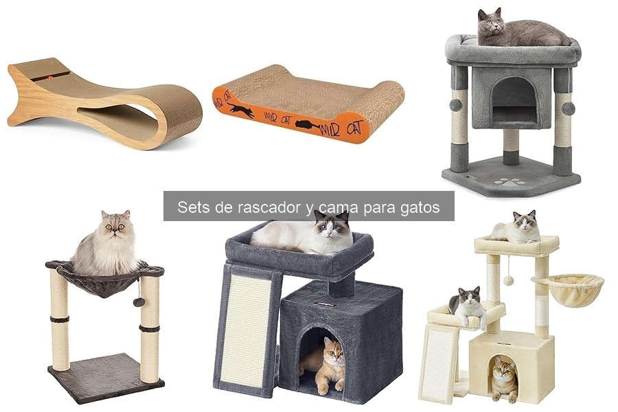 Guía para Comprar Sets de Rascador y Cama para Gatos