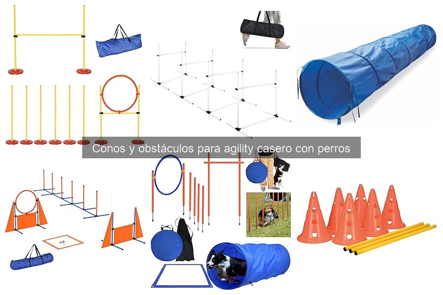Guía para Elegir Conos y Obstáculos de Agility para Perros