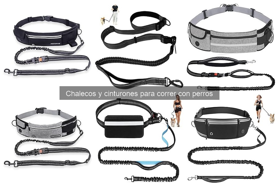 Guía para elegir el chaleco ideal para correr con perros