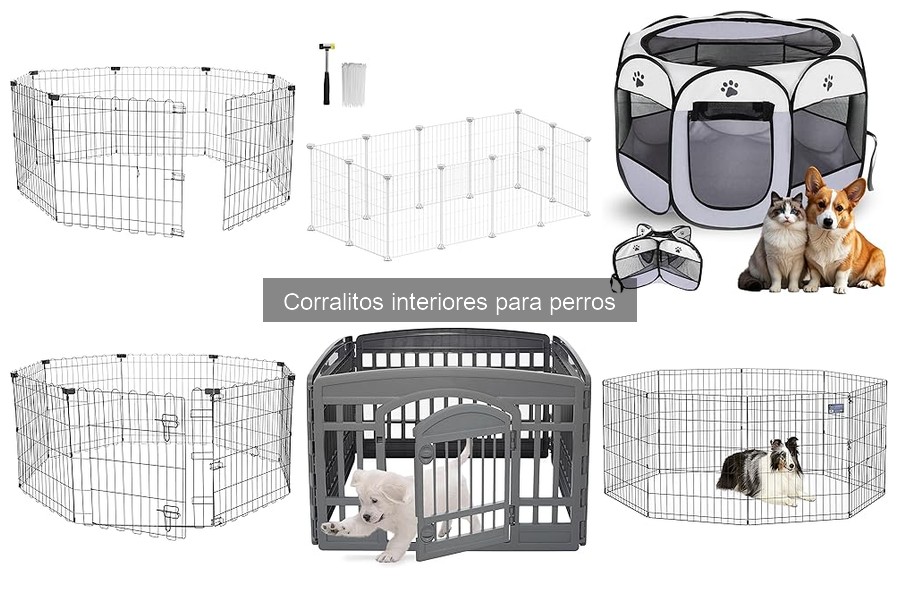 Guía para Elegir el Corralito Interior Ideal para Perros
