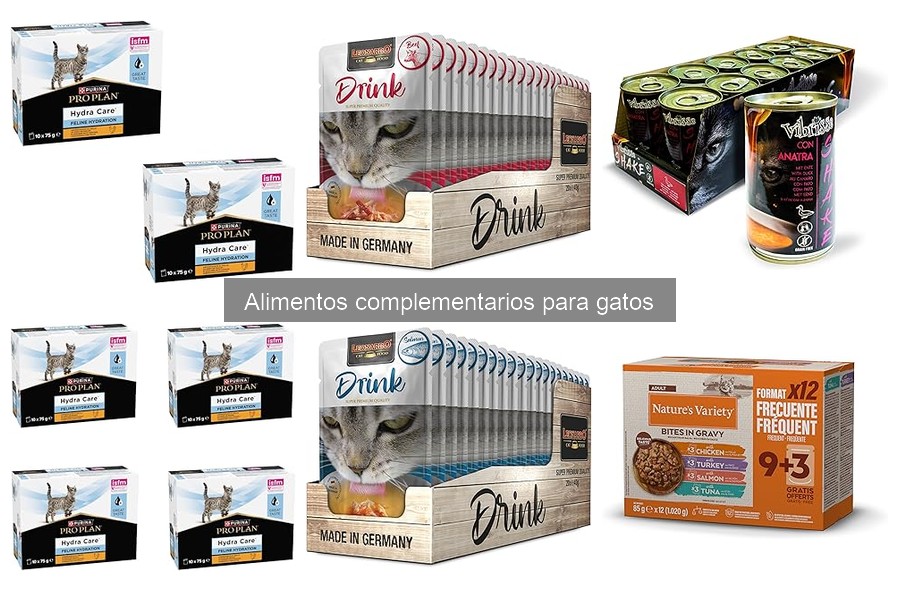 Guía para Elegir el Mejor Alimento Complementario para Gatos