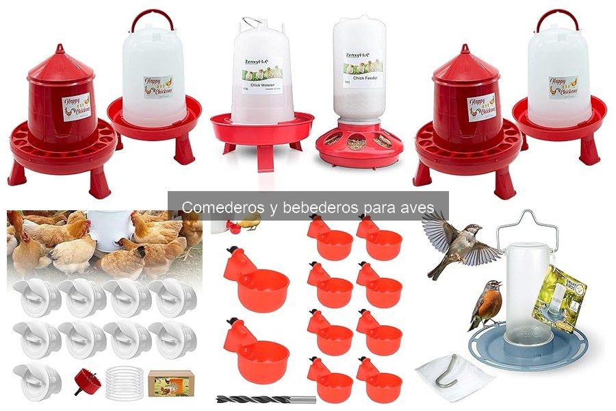 Guía para Elegir el Mejor Bebedero para Aves