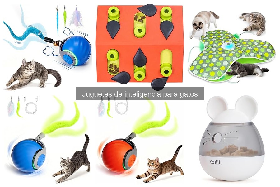Guía para elegir el mejor juguete de inteligencia para gatos