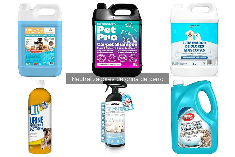 Guía para elegir el mejor neutralizador de orina de perro