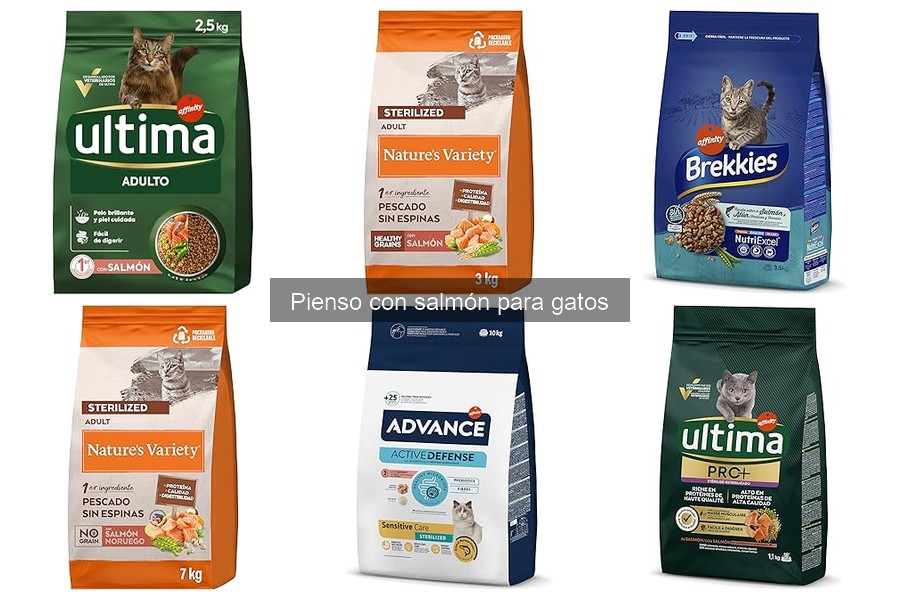 Guía para Elegir el Mejor Pienso de Salmón para Gatos