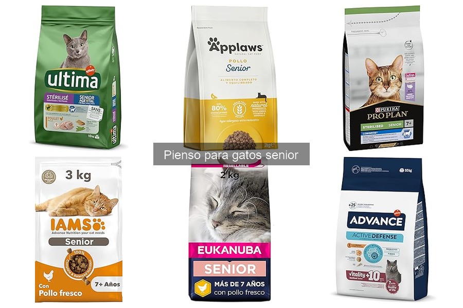 Guía para elegir el mejor pienso para gatos senior