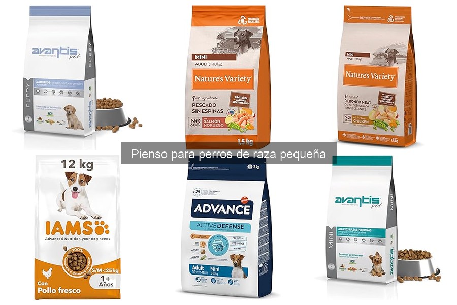 Guía para elegir el mejor pienso para perros de raza pequeña