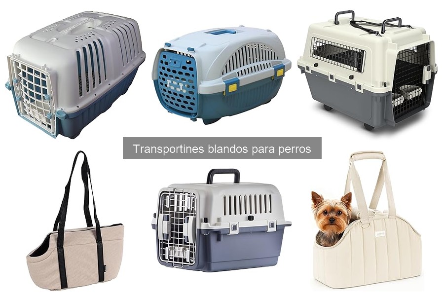 Guía para elegir el mejor transportín blando para perros