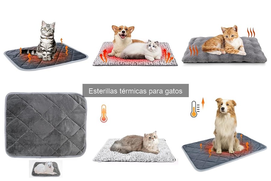 Guía para elegir esterillas térmicas adecuadas para gatos