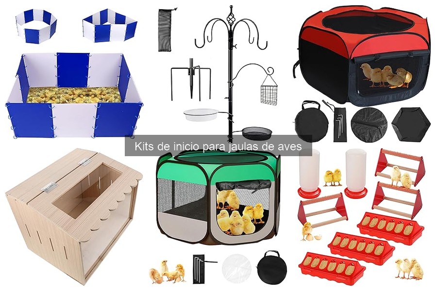 Guía para Elegir Kits de Inicio para Jaulas de Aves
