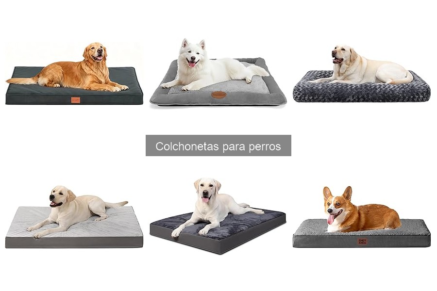 Guía para Elegir la Colchoneta Ideal para tu Perro