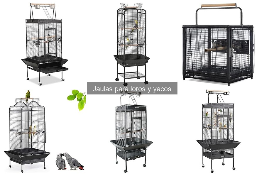 Guía para Elegir la Jaula Ideal para Tu Loro