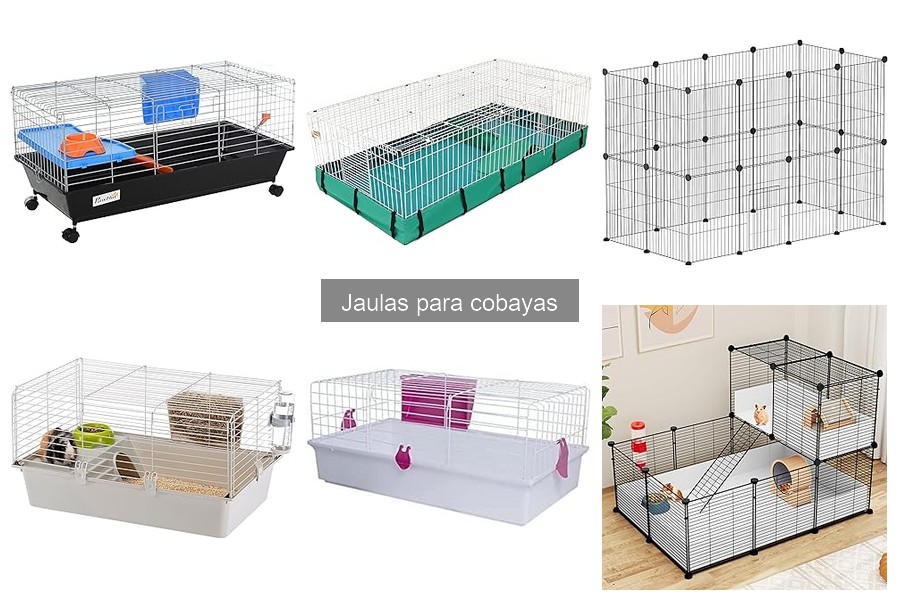 Guía para elegir la jaula perfecta para cobayas