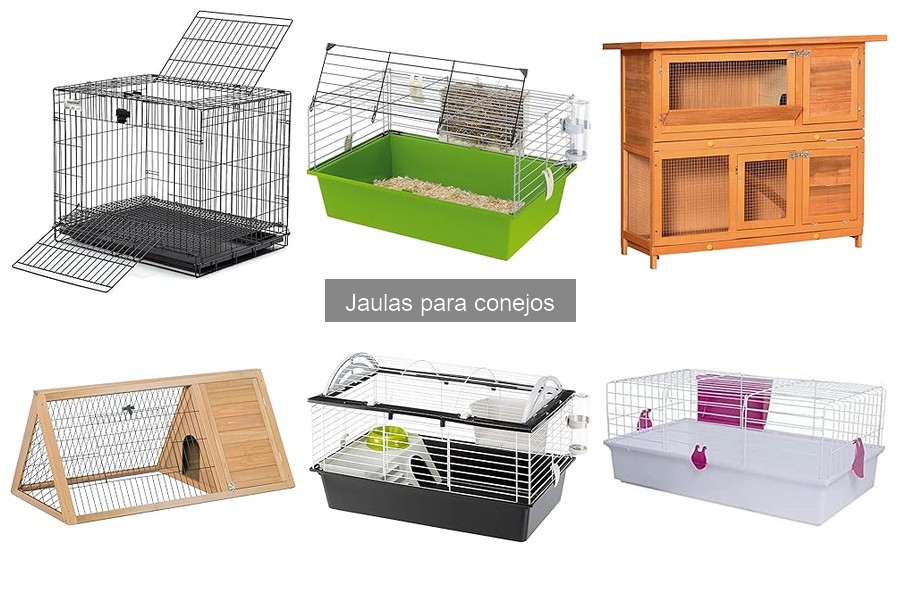 Guía para Elegir la Jaula Perfecta para Conejos