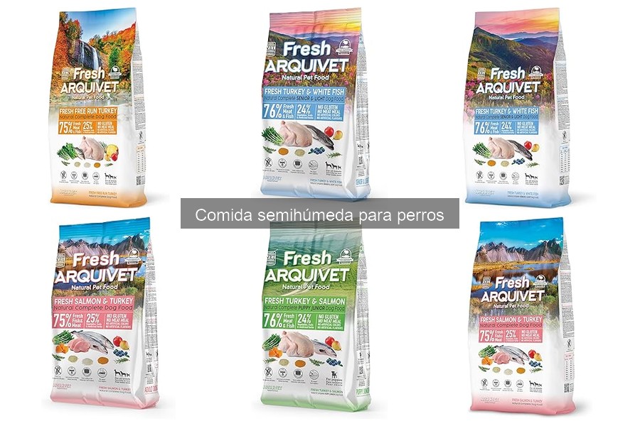 Guía para elegir la mejor comida semihúmeda para perros