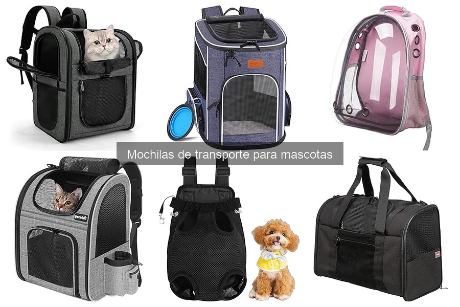 Guía para elegir la mejor mochila de transporte para mascotas
