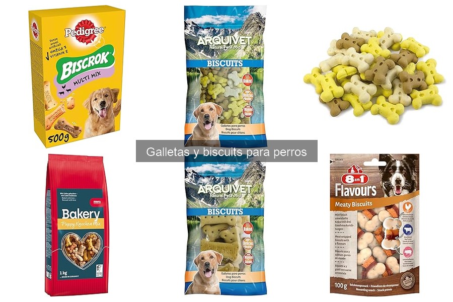 Guía para Elegir las Mejores Galletas para Perros