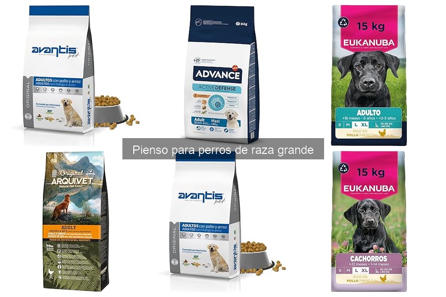 Guía para Elegir Pienso Adecuado para Perros Grandes