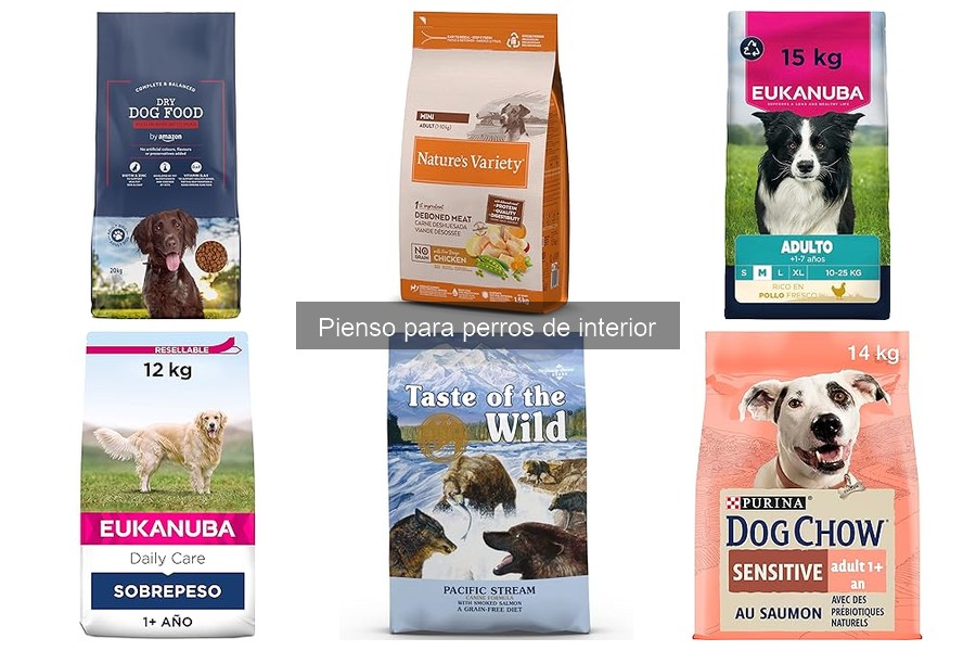 Guía para elegir pienso para perros de interior con alergias