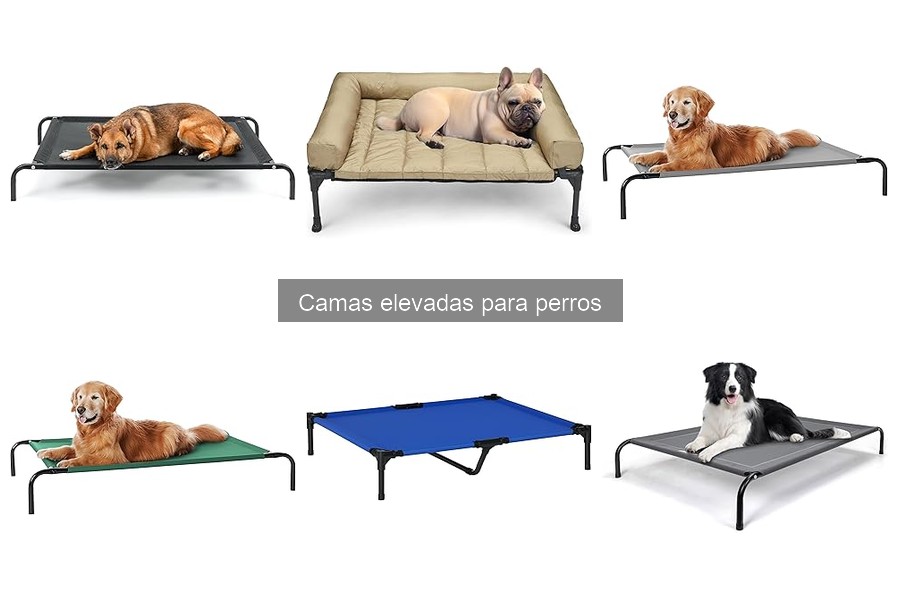 Guía para Montar Camas Elevadas para Perros Fácilmente
