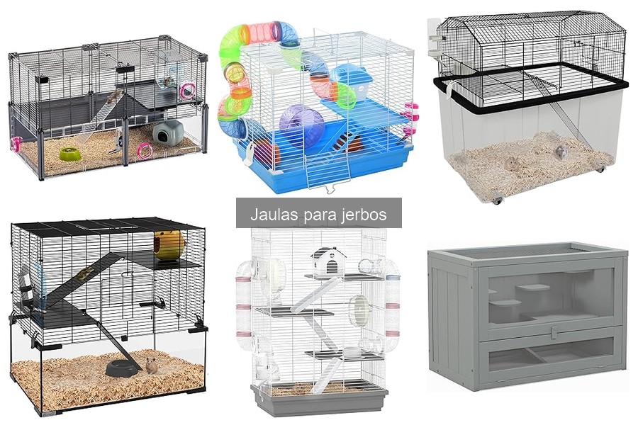 Guía para montar una jaula adecuada para jerbos