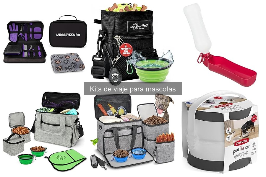 Guía sobre Kits de Viaje para Mascotas: ¿Qué Deben Incluir?
