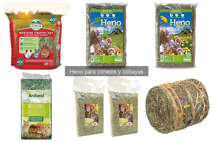 Heno vs. Pellets: ¿Qué Es Mejor para Conejos y Cobayas?
