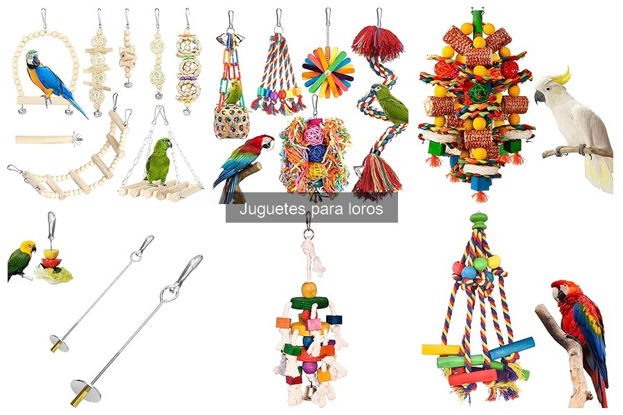 Ideas Creativas de Juguetes DIY para Loros