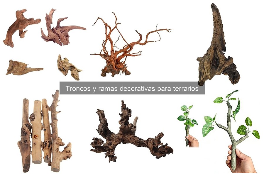 Ideas creativas para terrarios con troncos y ramas decorativas