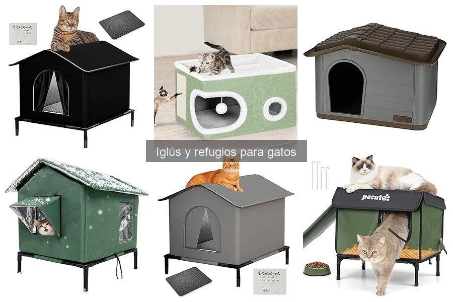 Iglús para gatos en invierno: ¿realmente son efectivos?