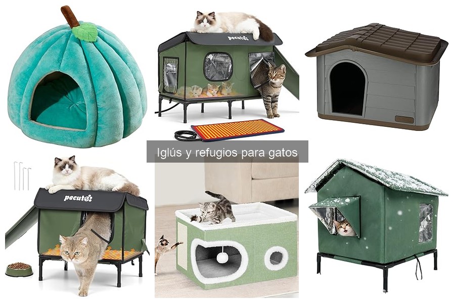 Iglús y refugios para gatos: mejores precios y tiendas online