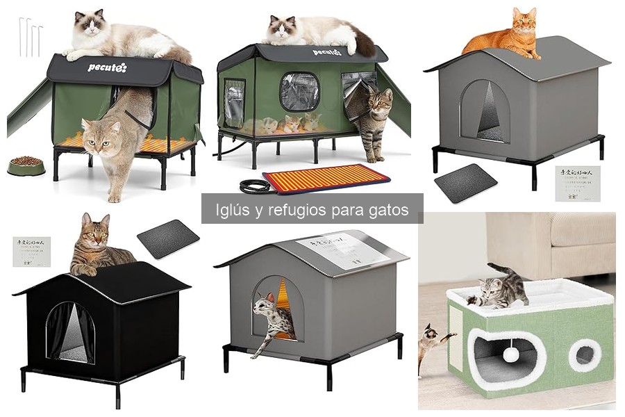 Iglús y refugios para gatos: ¿Qué son y cómo elegir?