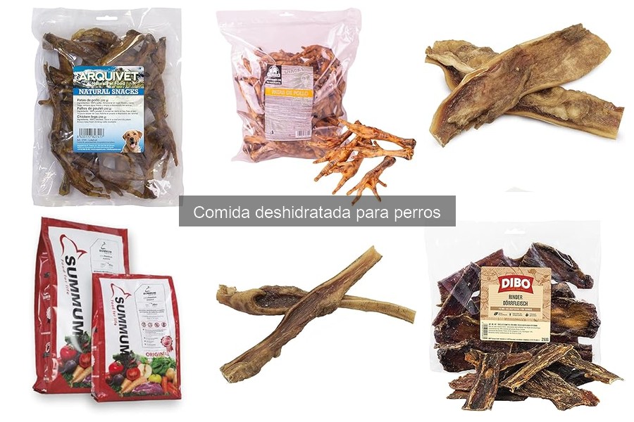 Impacto de la comida deshidratada en la salud dental de perros