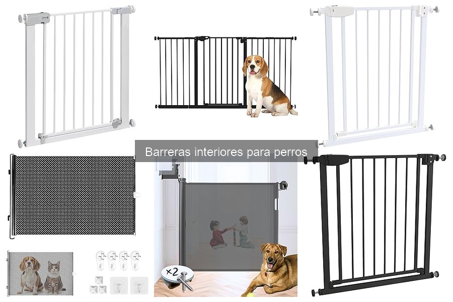 Impacto de las Barreras Interiores en el Comportamiento Canino