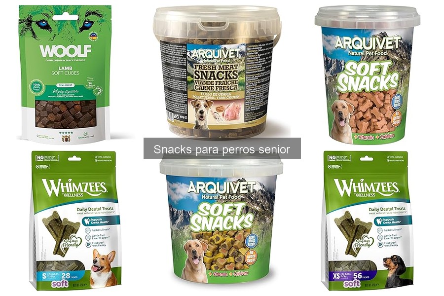 Impacto de los Snacks en la Salud de Perros Senior