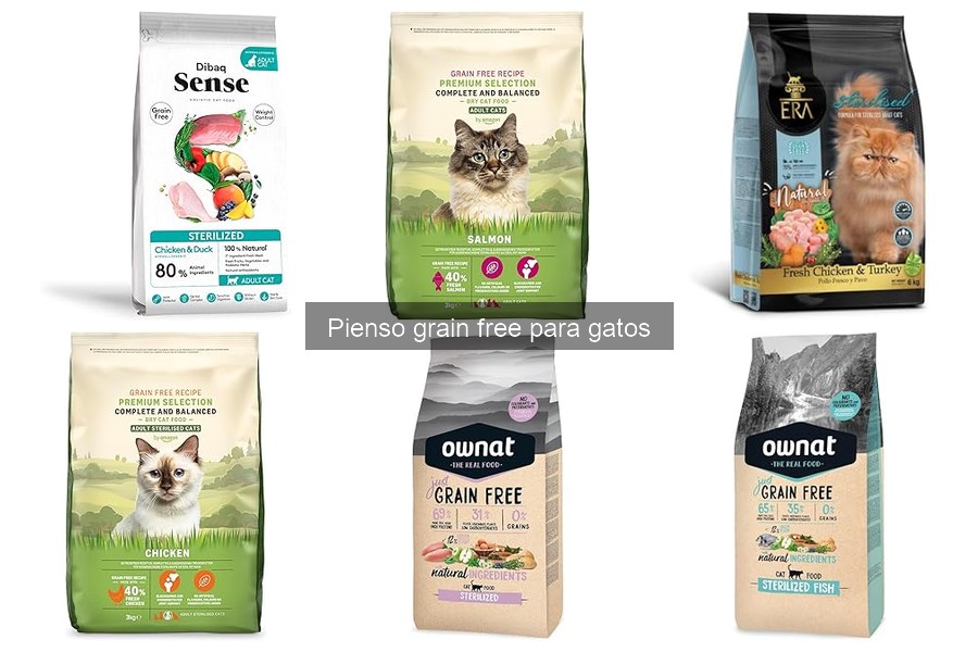 Impacto del pienso grain free en la salud dental de los gatos