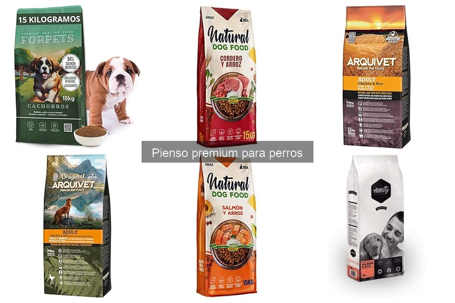 Impacto del pienso premium en la salud dental del perro
