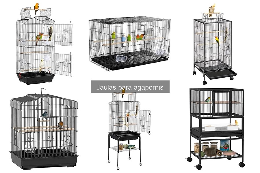 Importancia de elegir la jaula adecuada para agapornis