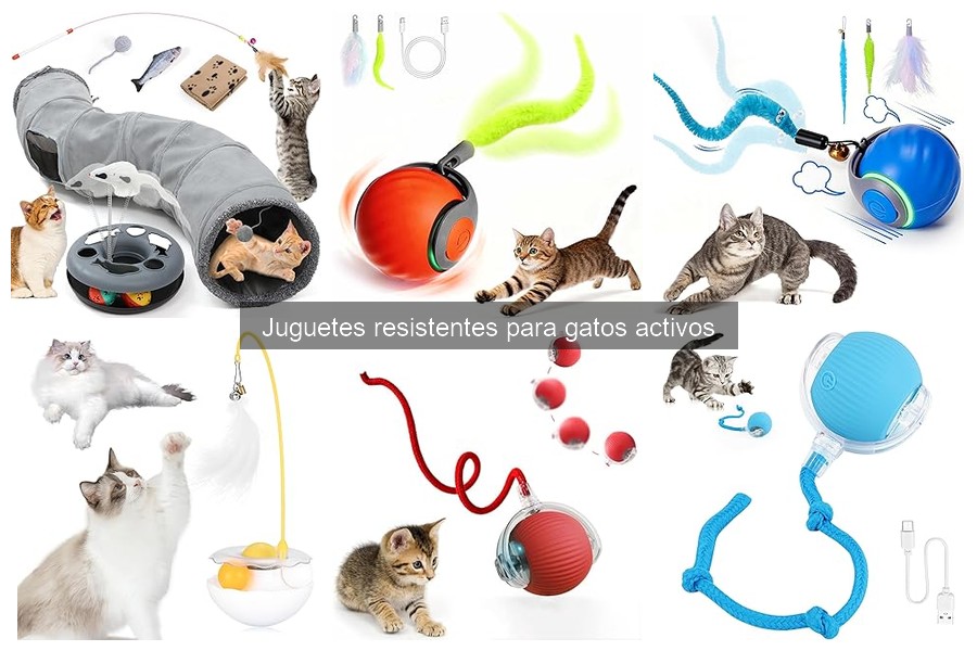 Incentiva el juego activo en gatos con juguetes resistentes