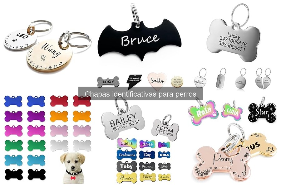 Información esencial para chapas identificativas de perros