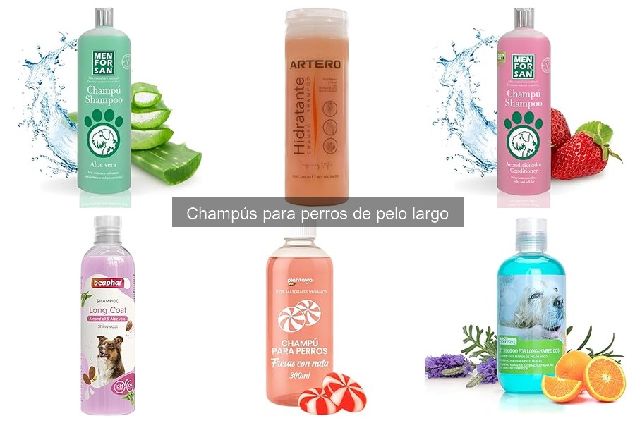 Ingredientes a Evitar en Champús para Perros de Pelo Largo