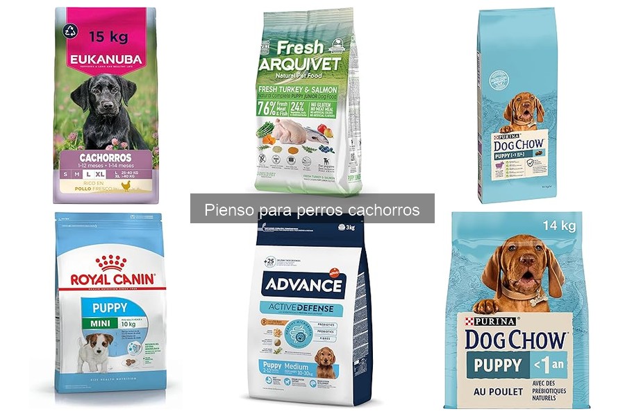 Ingredientes a Evitar en el Pienso para Cachorros