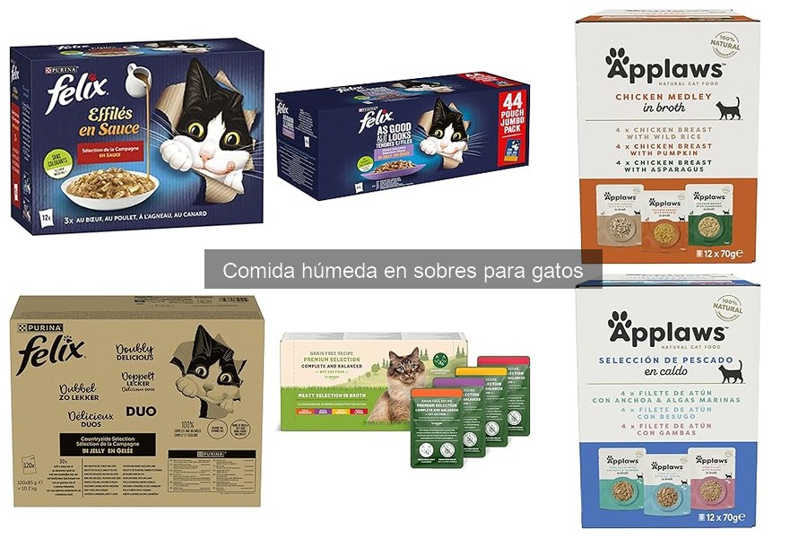 Ingredientes a Evitar en la Comida Húmeda para Gatos