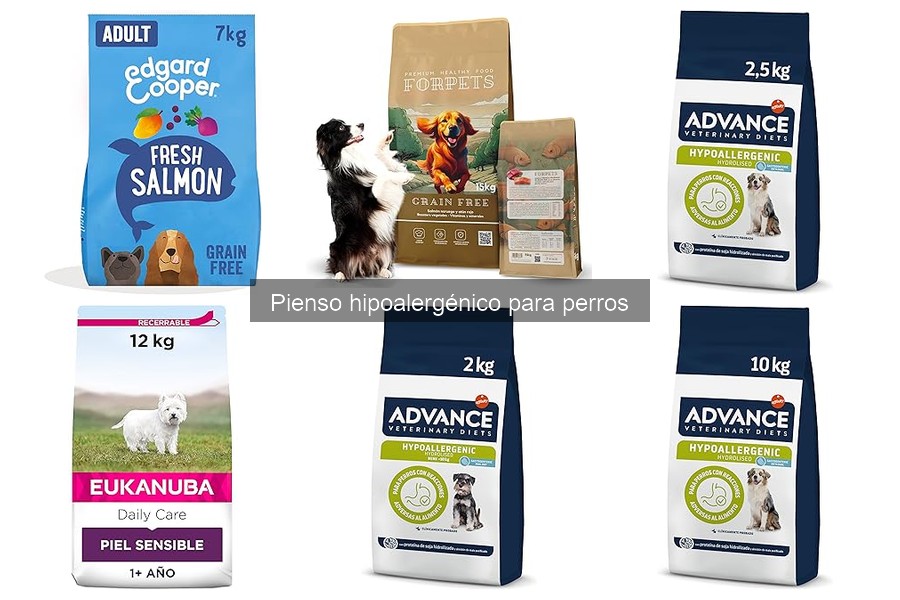 Ingredientes a Evitar en Piensos Hipoalergénicos para Perros