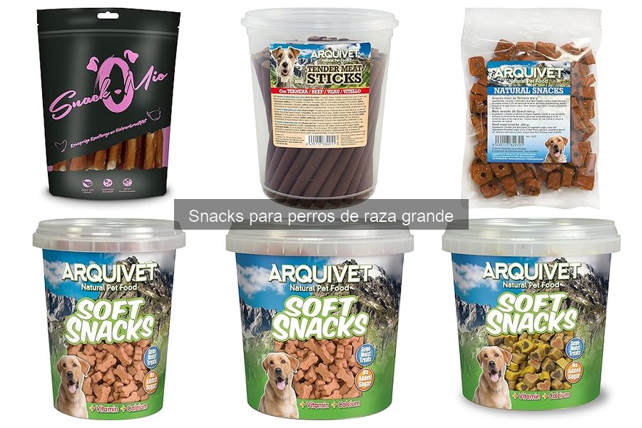 Ingredientes a Evitar en Snacks para Perros de Raza Grande
