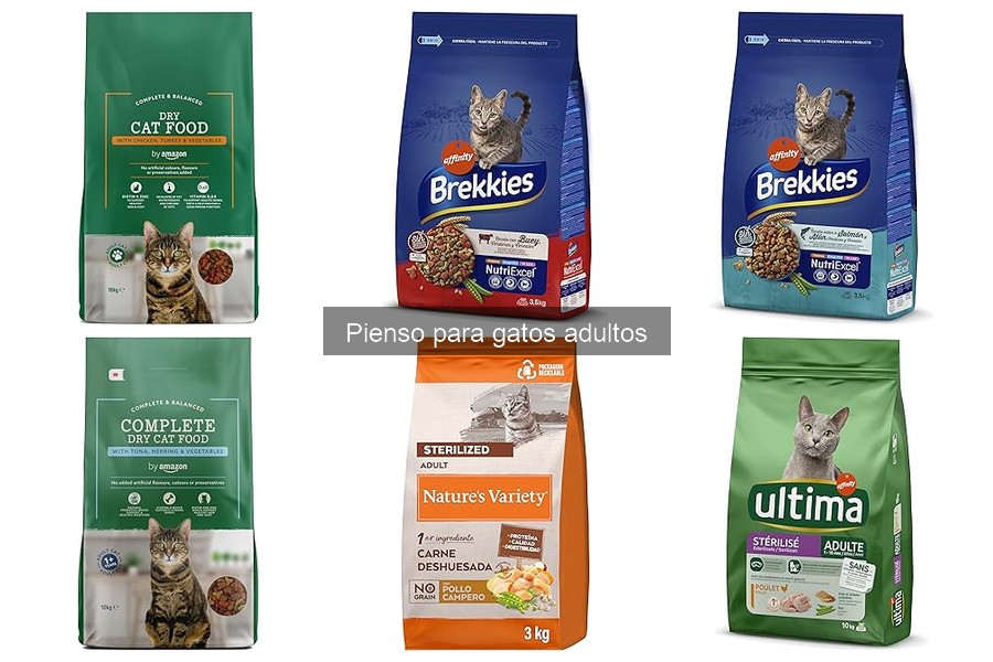 Ingredientes clave en pienso para gatos adultos: Guía esencial