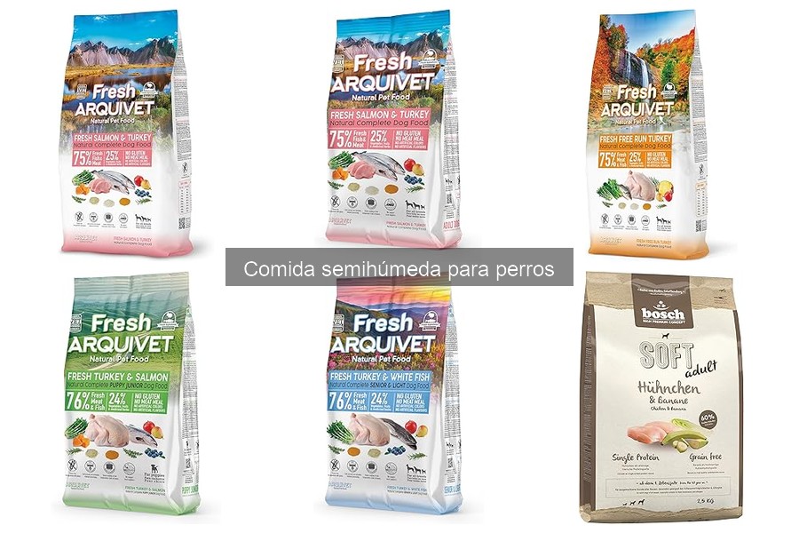 Ingredientes de la comida semihúmeda para perros: guía completa