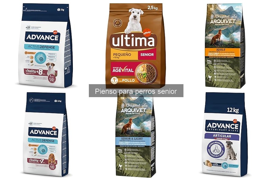 Ingredientes Esenciales en el Pienso para Perros Senior