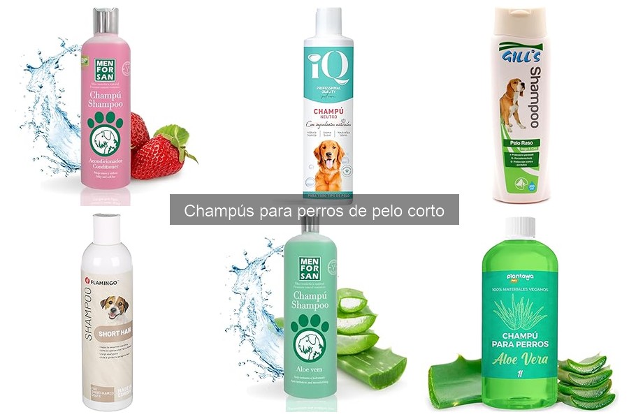 Ingredientes que Debes Evitar en Champús para Perros de Pelo Corto