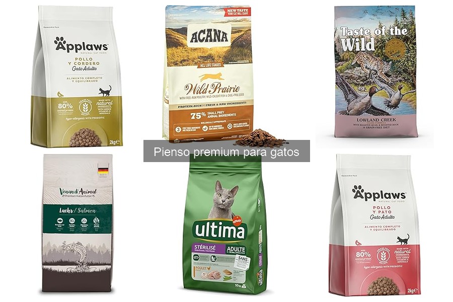 Ingredientes que Debes Evitar en el Pienso para Gatos